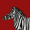 Filterbild Josef das Zebra